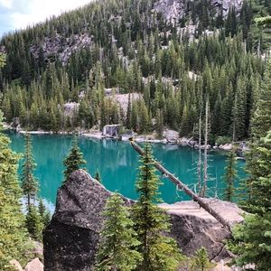 Meet your Posher, Tamara